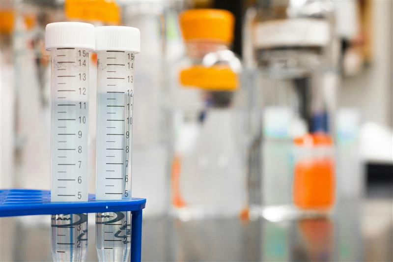Read more about the article Homeopathy vs Allopathy: Understanding the Key Differences 
