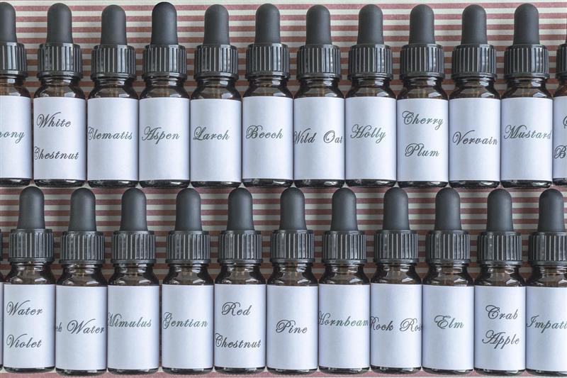 Read more about the article The Natural Path to Controlling Blood Pressure: Homeopathy’s Gentle, Powerful Support